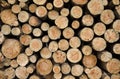 A close-up view of a texture of cut wood stacks