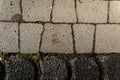 Close-up view of textured cobblestone and concrete pathway with moss growing in the joints during daylight Royalty Free Stock Photo