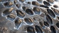 Close up of Bone Structure Showing Trabecular Bone With Pores Royalty Free Stock Photo