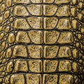 Of a crocodile or alligator, showcasing a pattern of rough, rect Royalty Free Stock Photo