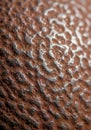 A close-up view of a textured, rust-colored surface with irregular, wavy patterns and Royalty Free Stock Photo