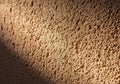 A close-up view of a textured stucco wall surface, featuring a Royalty Free Stock Photo