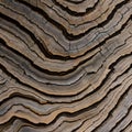 A close-up view of a textured tree bark, revealing the intricate patterns and natural beauty of wood2, Generative AI