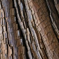 A close-up view of a textured tree bark, revealing the unique patterns, ruggedness, and organic beauty of nature2, Generative AI