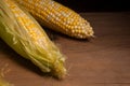 Close up view of three cobs sweet corn with green leaves on wooden background Royalty Free Stock Photo