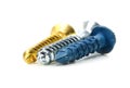 Close up view of three different wood screws in gold, blue and silver colors on white background Royalty Free Stock Photo