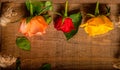 Close up view of three orange rose and red roses in a wood basket. Floral photography detail. Royalty Free Stock Photo