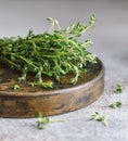 Close up view of thyme bunch. Herb thyme on table