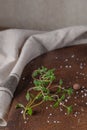 Close up view of thyme bunch. Herb thyme on table