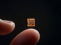 Microchip on Fingertip