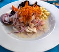 Close up view to Ceviche, Traditional peruvian dish Royalty Free Stock Photo