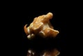 Close up view of top lit single caramel pop corn on black background Royalty Free Stock Photo