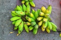 Close-up view, ripe yellow bananas, useful fruit