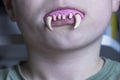 Close up view of toy vampire teeth in child`s mouth. Halloween, prank concept. Royalty Free Stock Photo