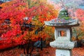 Close up view of a traditional stone lantern with fiery maple trees in a Japanese garden in Kyoto, Japan Royalty Free Stock Photo