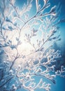 A close-up view of tree branches with frost, illuminated by soft winter sunlight against a blue sky