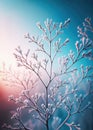 A close-up view of tree branches with frost, illuminated by soft winter sunlight against a blue sky Royalty Free Stock Photo