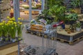 Close up view of trolley in store with purchased garden supplies for planting plant. Sweden.