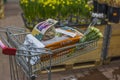 Close up view of trolley in store with purchased garden supplies for planting plants in vegetable garden.