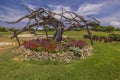 Close up view of tropical flower bed design with dried old tree trunk on blue sky with white clouds background. Royalty Free Stock Photo