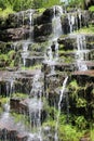 Close up view of the Tupavica waterfall and trees in background