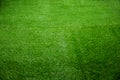 Close up view of turf Royalty Free Stock Photo