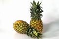 Close up view of two colorful pineapples isolated. Food concept. Healthy eating concept.