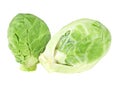 Close up view of two heads of brussels sprout on white background Royalty Free Stock Photo