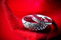 close-up view of two wedding rings on the dark red rose petals, Royalty Free Stock Photo