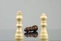 Close-up view of two wooden white chess pieces defeating a black chess king with a reflection