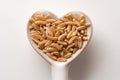 Uncooked Kamut Grain on a Heart Shaped Spoon