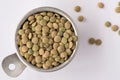 Uncooked Green Lentils in a Measuring Cup