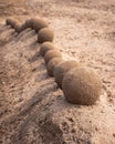 Close up view of an undulating sand castle hill or wall with perfectly smooth round balls or spheres of wet sand placed on the