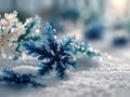 Close-up view of unique blue and white snowflakes, varying structures, crystalline patterns, soft lighting, gradient background Royalty Free Stock Photo