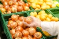 Close up view of unrecognizable woman picking onions in a grocery store, personal perspective point of view. Shopping in the Royalty Free Stock Photo