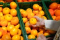 Close up view of unrecognizable woman picking oranges in a grocery store, personal perspective point of view. Shopping in the Royalty Free Stock Photo