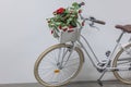 Close up view of unusual cute white bicycle decorated with red artificial flowers in wooden box. Royalty Free Stock Photo