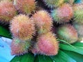 Closeup of an urucum plant flower