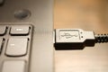 Close-up view of a USB Type-A connector plugged into a laptop port Royalty Free Stock Photo