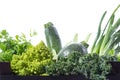 Close up view of variety of fresh green vegetables in a wooden box, isolated on white background Royalty Free Stock Photo