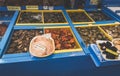 Close up view of varietyof fresh sea food selling at Jeju Dongmun market