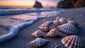Seashells on Sandy Beach at Sunset with Soft Waves and Colorful Sky Royalty Free Stock Photo