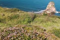 Close up view on vegetation and huge cliff rock one of deux jumeaux in atlantic ocean with waves in blue sky Royalty Free Stock Photo