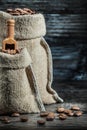 Close up view vertical view little and big sacks of coffee beans Royalty Free Stock Photo