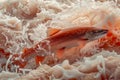 Close up View of a Vibrant Salmon Swimming Upstream Against Turbulent Water Rapids Royalty Free Stock Photo