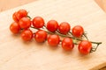 Close up view of vine tomatoes on a wooden board. Royalty Free Stock Photo