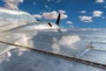 Vintage propeller airplane in Pima Air & Space, Tucson, Arisona Royalty Free Stock Photo