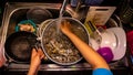 Close up view washing a full of saltwater clams using tap water to remove sand, dirt and salt water