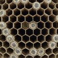 Close-up view of a wasp nest displaying a hexagonal pattern. Made from paper-like Royalty Free Stock Photo