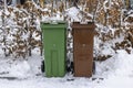 Close up view of waste and recycling containers on snowy bushes background.